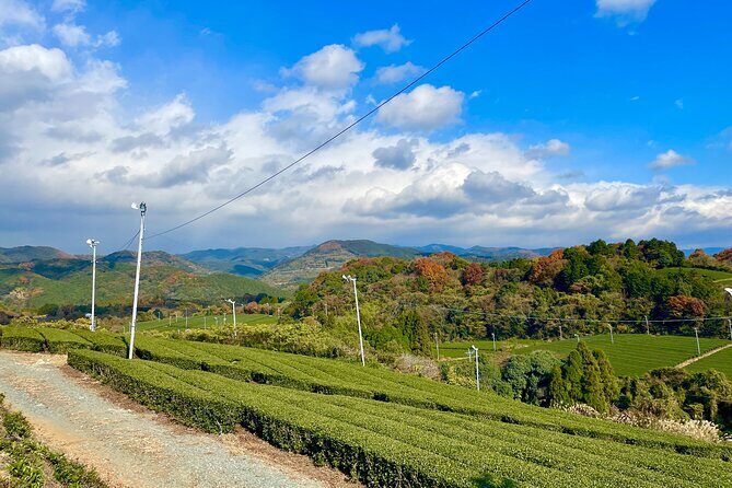 YokaBus Heritage in a Cup of a Yame Tea & Sake Tasting Expedition - Exploring the Itinerary in Detail