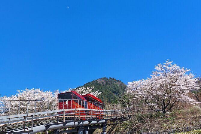 YokaBus Hikosan Jingu and Showa Era Market Tour - FAQ