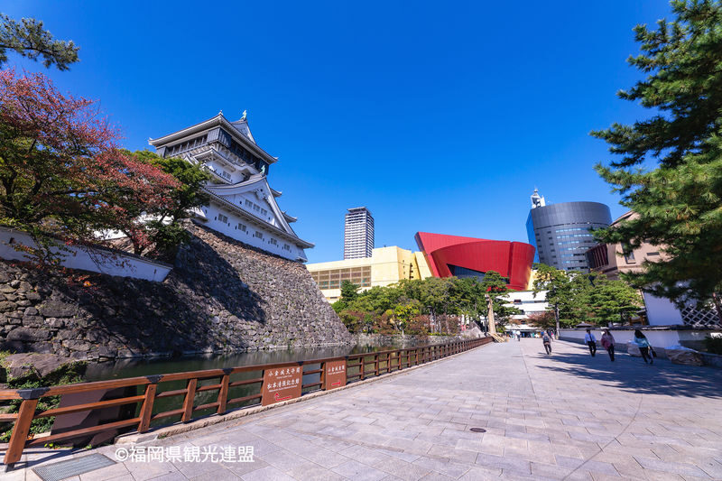 YokaBus Kawachi Wisteria Garden, Seasonal Fruit Picking and Kokura Castle - Kawachi Fujien in spring and autumn