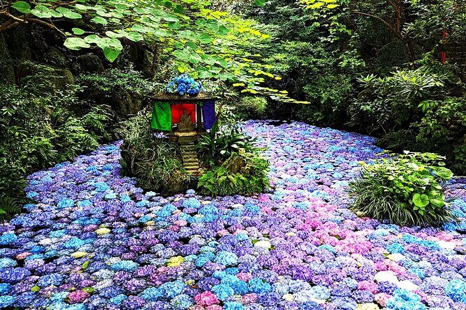 YokaBus Nanzoin Bronze Buddha, Itoshima Totoro Forest&Futamigaura - Why This Tour Works for You