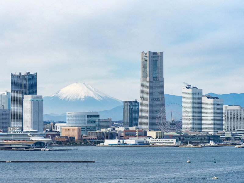 Yokohama Chartered Car Day Trip | Red Brick Warehouse, Chinatown, Minato Mirai, Hakkeijima, etc. Free Customized Routes - At a glance