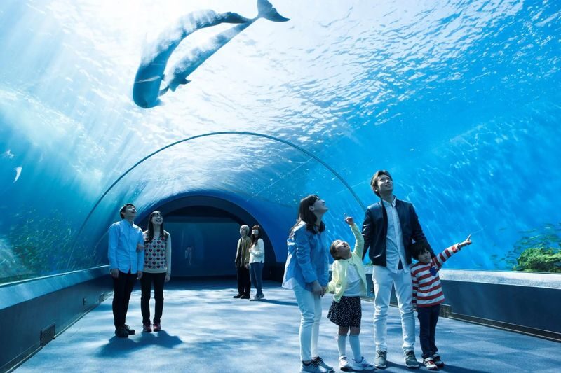 Yokohama Chartered Car Day Trip | Red Brick Warehouse, Chinatown, Minato Mirai, Hakkeijima, etc. Free Customized Routes - Who should book this Yokohama charter?
