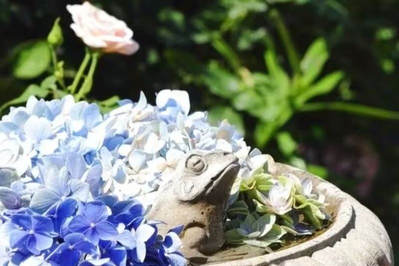 Yokohama English Garden - What Your Visit Looks Like