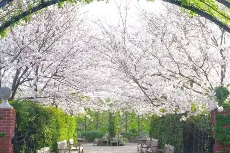 Yokohama English Garden - Practical Rules for a Smooth Visit