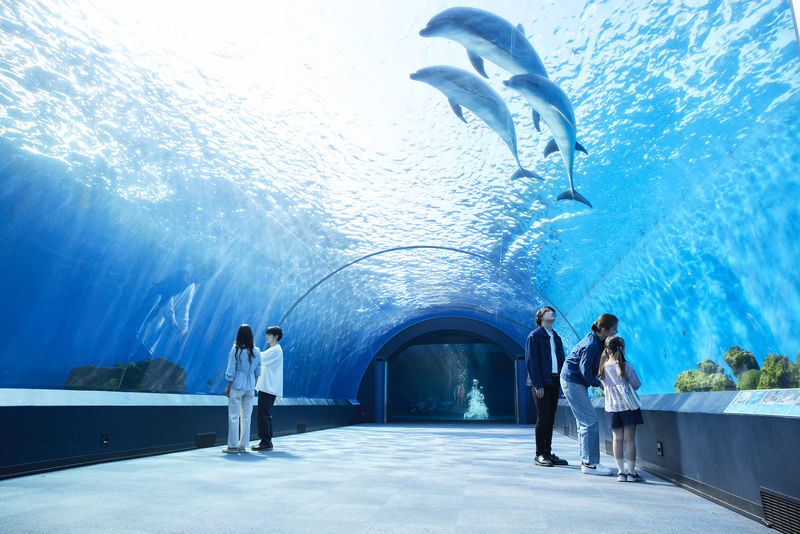 Yokohama Hakkeijima Sea Paradise Ticket - Picking the right pass for your day