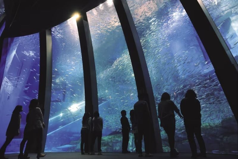 Yokohama Hakkeijima Sea Paradise Ticket - Getting there and using your mobile ticket
