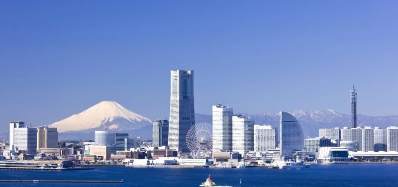 Yokohama Half-Day Private City Highlights Tour - Key points