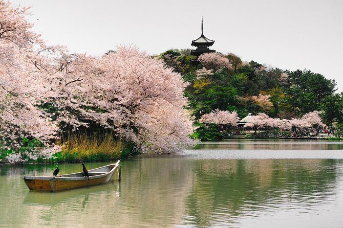 Yokohama Private Customizable Half Day Tour - Yokohama Private Customizable Half Day Tour: A Personal Peek into Japan’s Harbour City