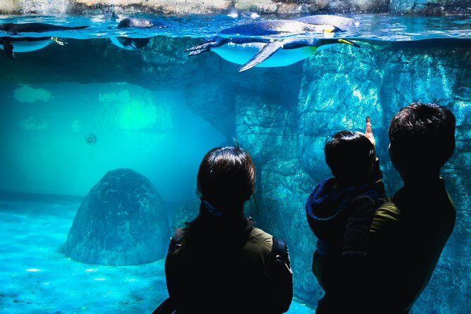 Yokohama Private Tours with Locals: 100% Personalized, See the City Unscripted - Final Thoughts