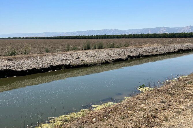 Yolo County Explorer: Culinary & Cultural Audio Tour - Wrapping It Up