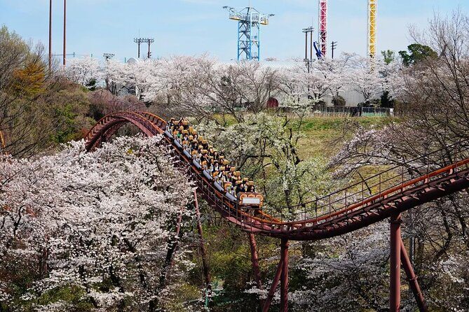 Yomiuriland Express One day Pass in Tokyo - Final Thoughts