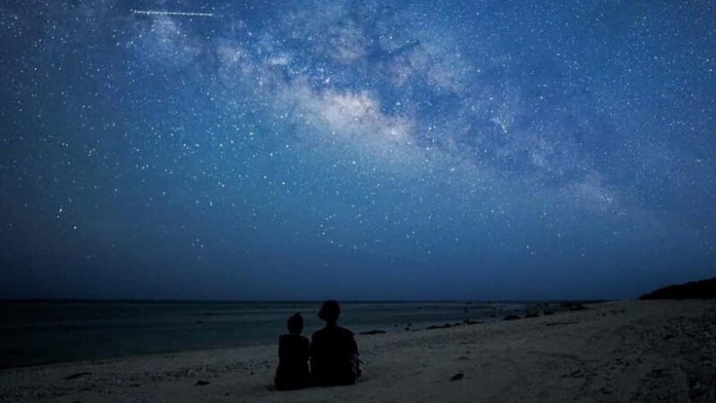 Yonaguni Island: Stargazing and Jungle Night Tour - Yonaguni Island: Stargazing and Jungle Night Tour