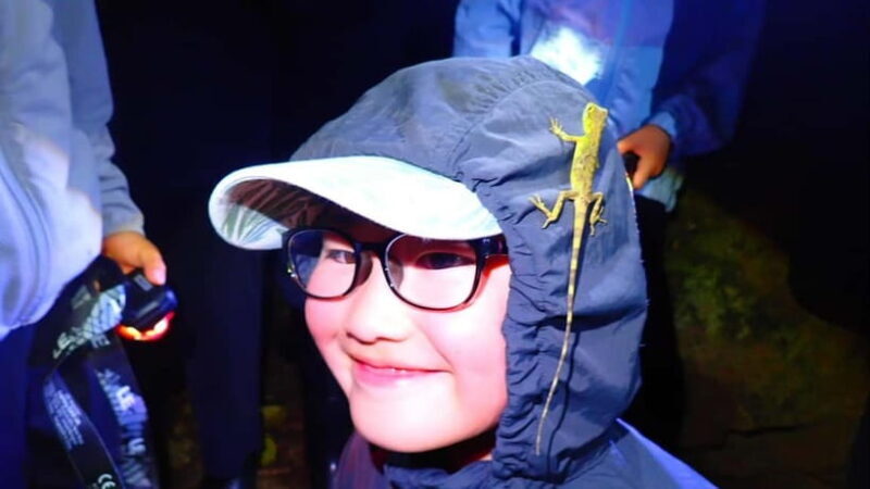 Yonaguni Island: Stargazing and Jungle Night Tour - Who Is This Tour For?