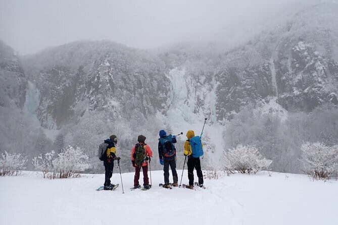 Yonako Falls Expedition: A Snowshoeing Adventure - Key Points