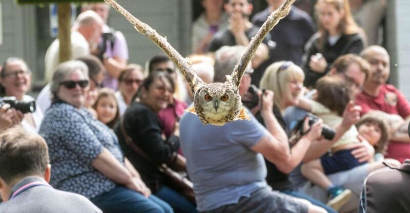 York: Entry to York bird of prey centre - Facilities and Extras