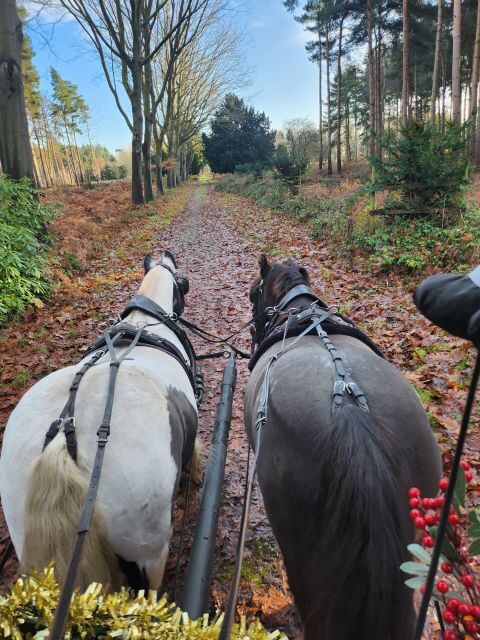 York: Horse Drawn Carriage Ride Around the Countryside York - Final Thoughts