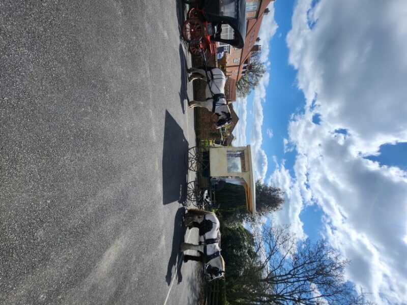 York: Horse Drawn Carriage ride & Cream Tea - What Our Reviewers Say