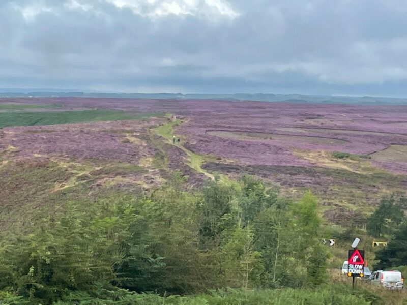York: J&Ms City Sightseeing and History Tour - Final Thoughts: Why Choose This Tour?