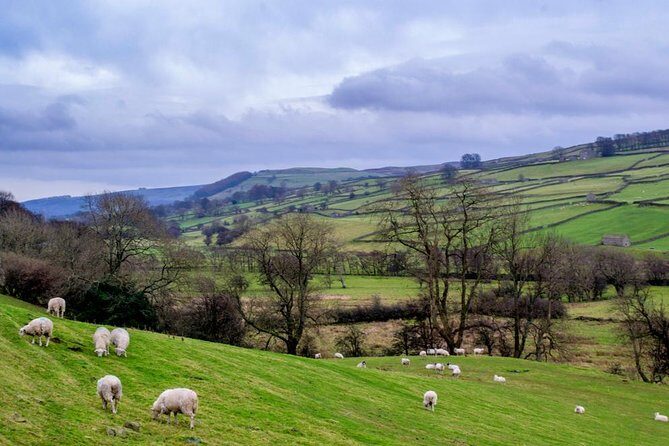 Yorkshire Dales Tour from York - Who Should Book This Tour?