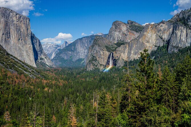 Yosemite and Giant Sequoias Day Tour - Who Should Consider This Tour?