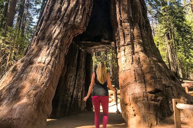 Yosemite and Giant Sequoias Day Tour - The Sum Up