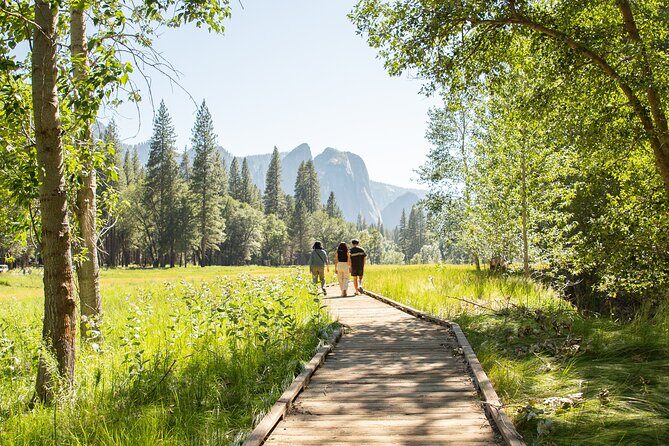 Yosemite Full Day Private Tour and Hike - An In-Depth Look at the Yosemite Private Tour Experience