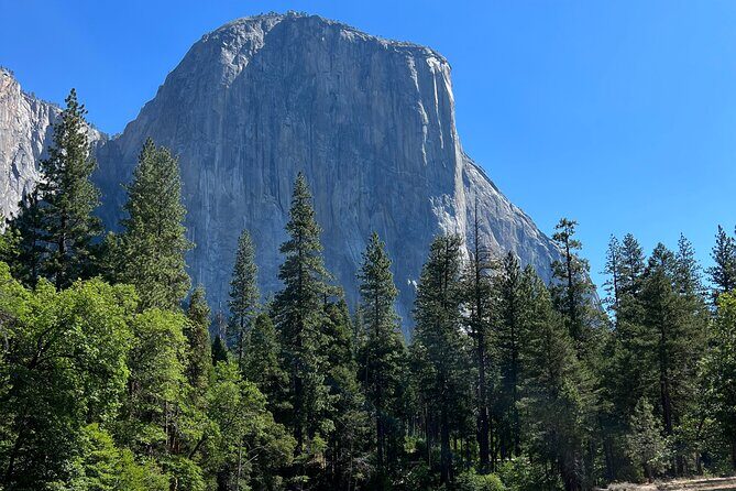 Yosemite Full Day Private Tour - Final Thoughts: Is This the Right Yosemite Tour for You?