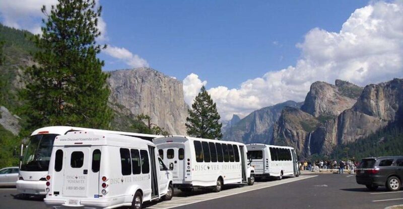 Yosemite: Full-Day Tour with Lunch and Hotel Pick-up - An In-Depth Look at the Yosemite Full-Day Tour