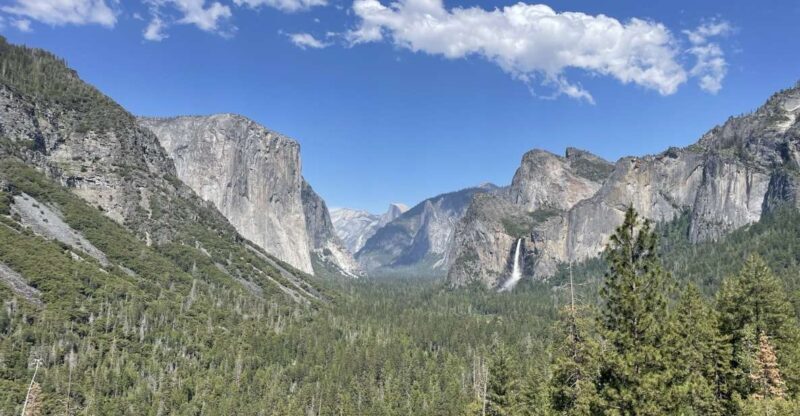 Yosemite, Giant Sequoias, Private Tour from San Francisco - An Authentic Day Exploring Yosemite and Its Giants
