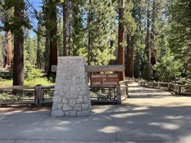 Yosemite, Giant Sequoias, Private Tour from San Francisco - Key Points