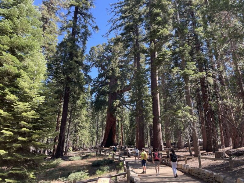 Yosemite, Giant Sequoias, Private Tour from San Francisco - How Does the Tour Deliver on Its Promises?