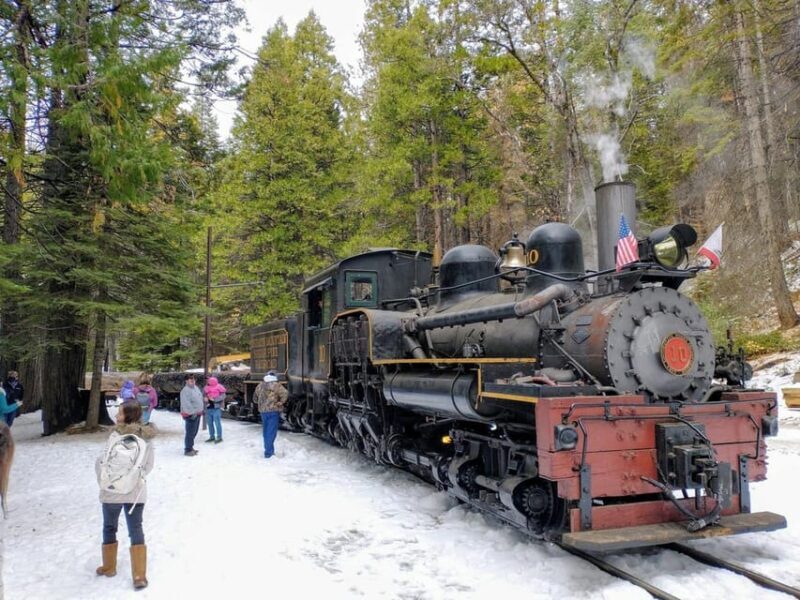 Yosemite Mountain Sugar Pine Railroad Ride with Narration - Final Thoughts: Why This Tour Matters