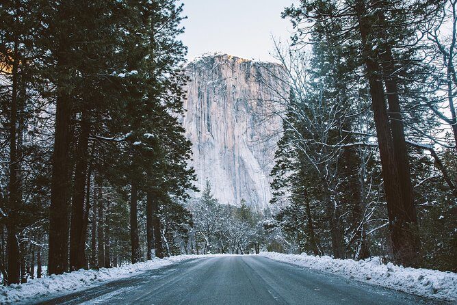 Yosemite National Park 2-Day Winter Tour from San Francisco - Is This Tour Worth It?
