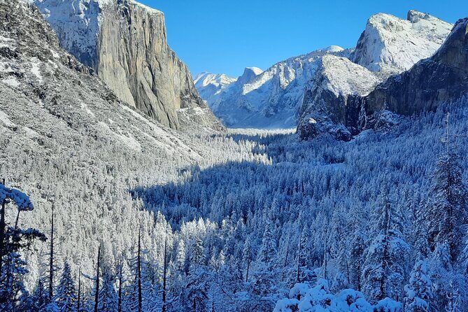 Yosemite National Park Day Tour with Optional Alcatraz - An In-Depth Look at the Yosemite Full-Day Tour