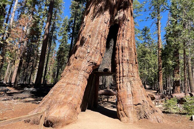 Yosemite National Park & Sequoias Private Tour from San Francisco - Experience Yosemite in a Day: Private Tour from San Francisco