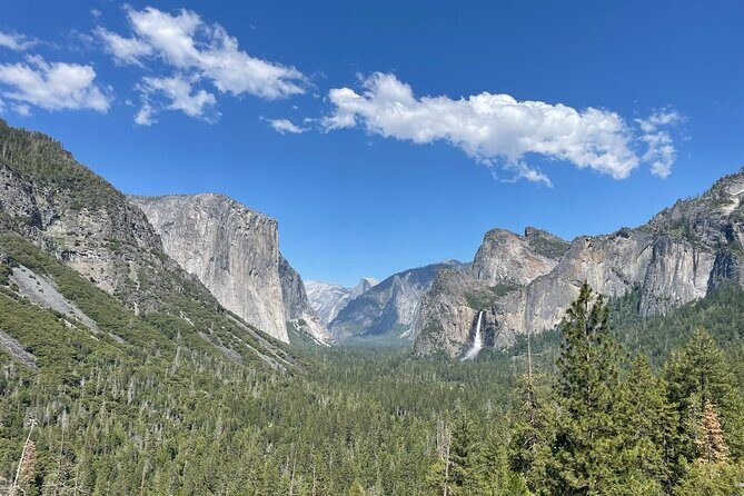 Yosemite National Park & Sequoias Private Tour from San Francisco - Key Points