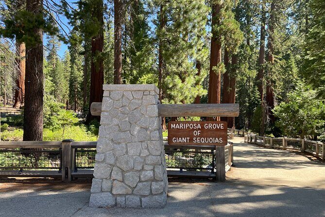 Yosemite National Park & Sequoias Private Tour from San Francisco - Who Should Consider This Tour?