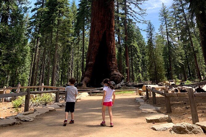 Yosemite Private Tour from San Francisco - Key Points