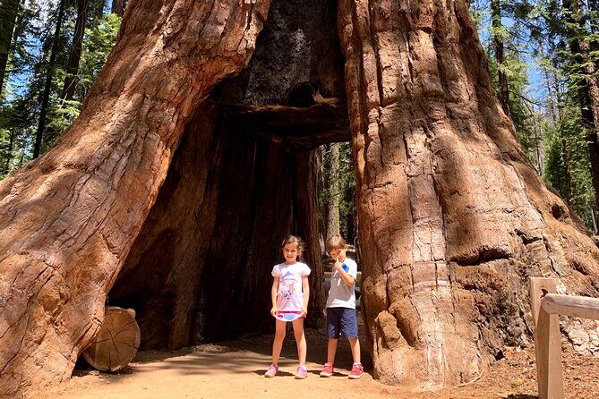 Yosemite Private Tour from San Francisco - Who Should Consider This Tour?
