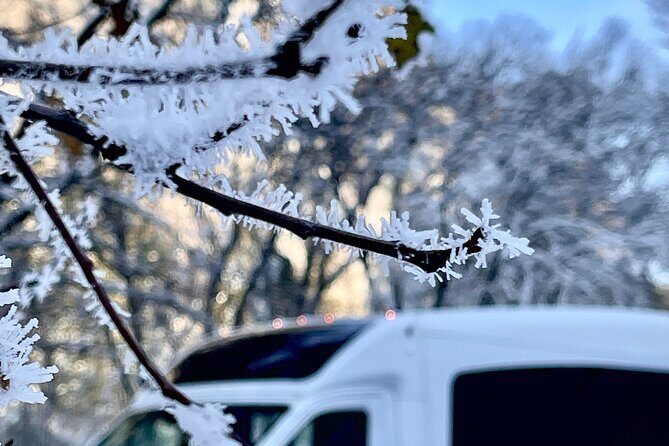 Yosemite Winter Highlights Small Group Tour - The Itinerary: What You’ll See and Do