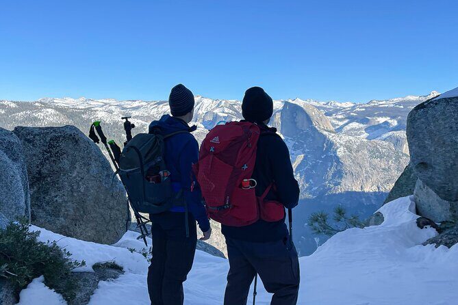 Yosemite Winter Wonderland Guided Hiking or Snowshoeing - Key Points