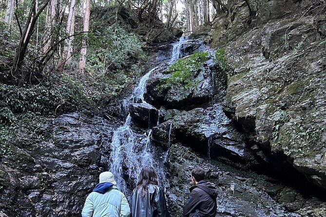 Yoshino Full Day Cycling + Hiking Tour - Authentic Experiences and Practical Details