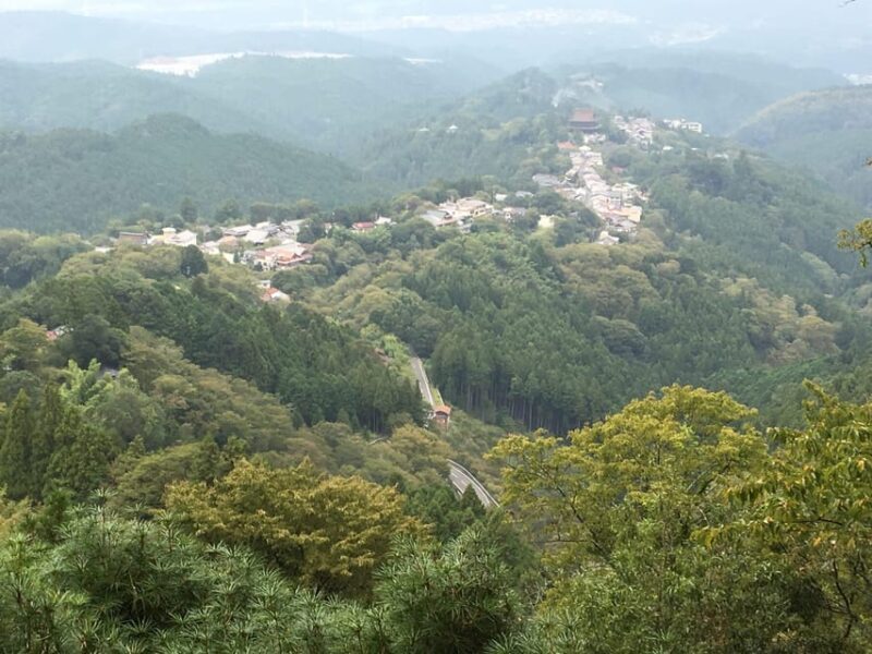 Yoshino: Private Guided Tour & Hiking in a Japanese Mountain - Discovering Yoshino: A Closer Look
