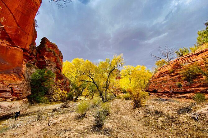 YOU DRIVE!! 4 Hr East Zion Guided UTV Tour - Discover Zion’s Hidden Corners with the 4-Hour Guided UTV Tour