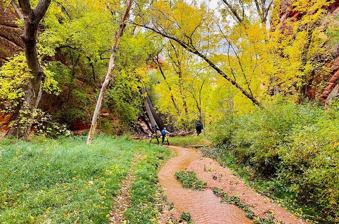 YOU DRIVE!! 4 Hr East Zion Guided UTV Tour - The Sum Up: A Rugged, Rewarding Way to Explore Zion