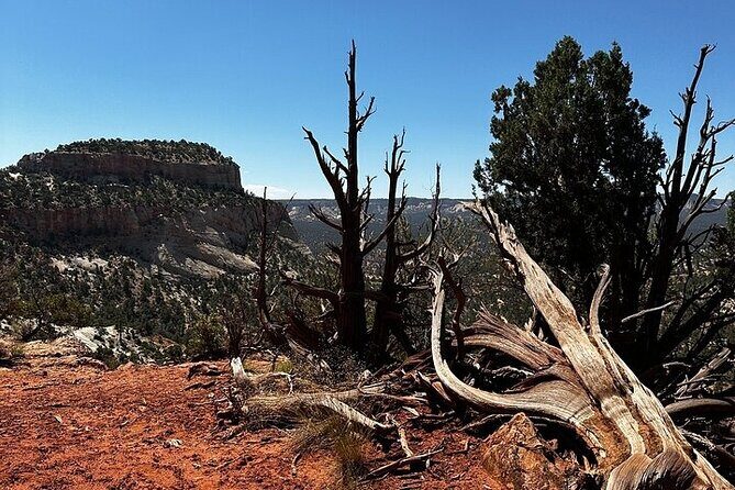 YOU DRIVE!! 4 Hr East Zion Guided UTV Tour - FAQs