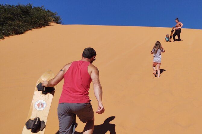 YOU DRIVE!! 5 Hr UTV Tour Pictograph Panel, Sand Boarding & More - Who Will Love This Tour?