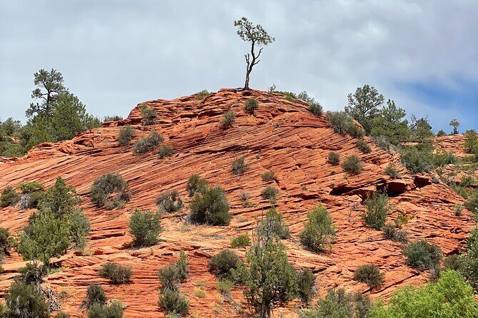 YOU DRIVE!! East Zion's Hidden Treasures - 4 Hr UTV Tour - FAQ