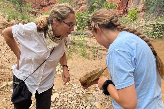 YOU DRIVE!! East Zion's Hidden Treasures - 4 Hr UTV Tour - Final Word