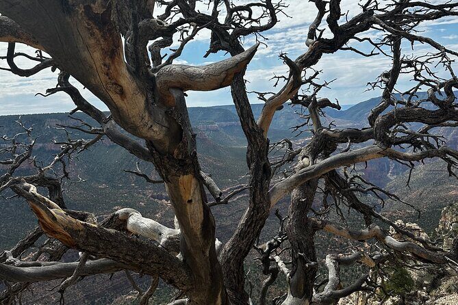YOU DRIVE!! Iconic Grand Canyon Overlooks Full Day UTV Tour - FAQs
